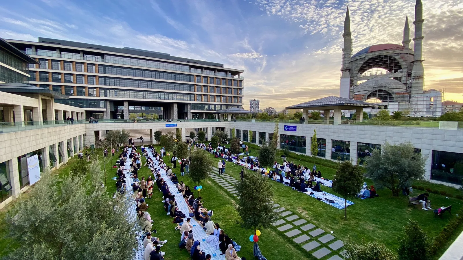İstanbul 29 Mayıs Üniversitesi