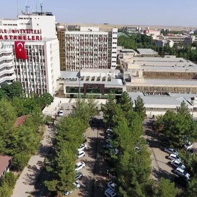 Dicle Üniversitesi