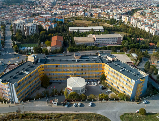 Dokuz Eylül Üniversitesi